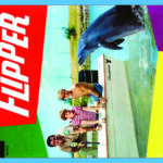 flipper - poster